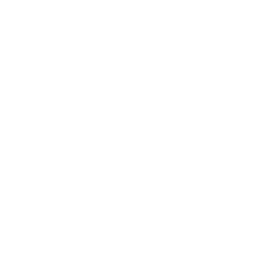 estrategiaW